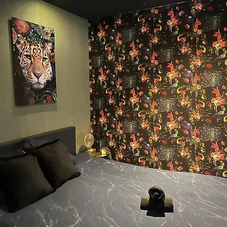 Bed & Breakfast Waalkade Heart Nijmegen